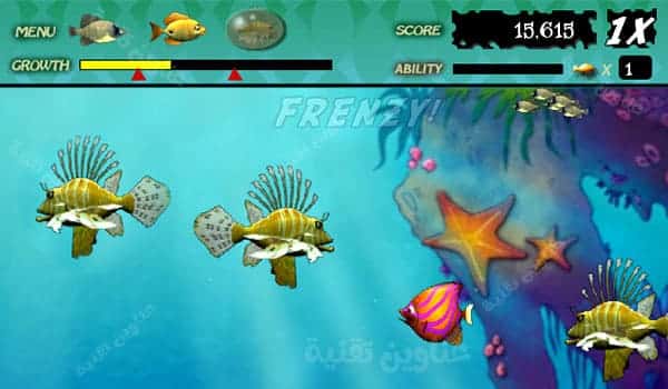 تحميل لعبة السمكة للكمبيوتر برابط مباشر Feeding Frenzy للاندرويد